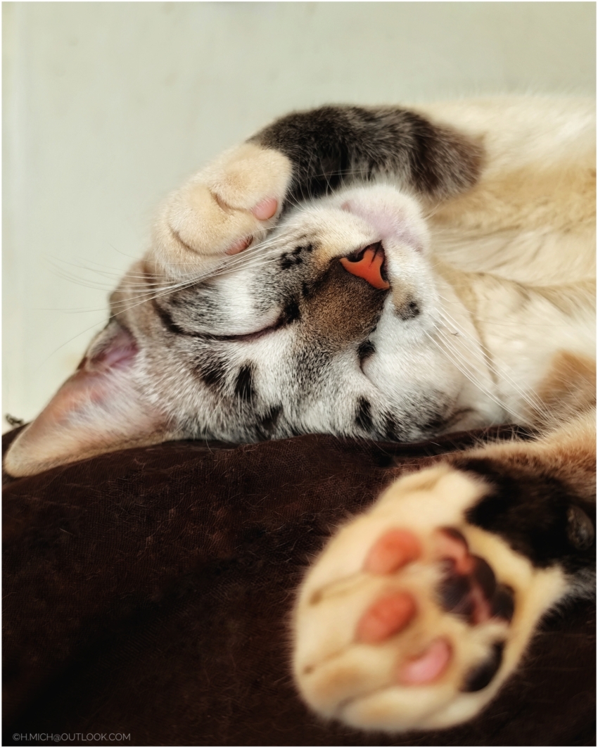 Studio-One.Art.br Repo Fotografia em Rio Preto SP/Brasil