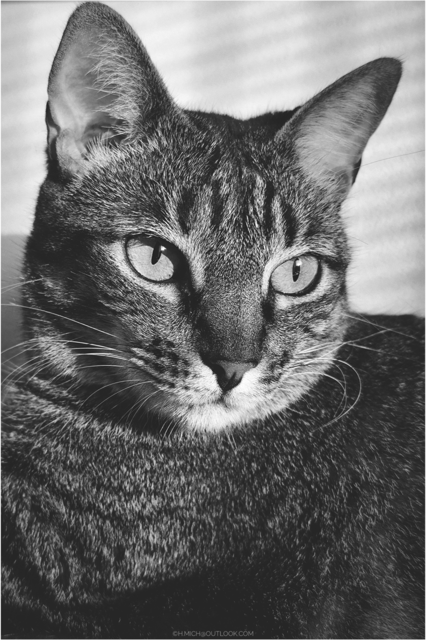 Studio-One.Art.br Repo Fotografia em Rio Preto SP/Brasil