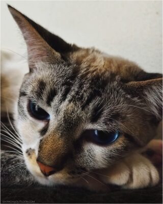 Img 20240930 005124