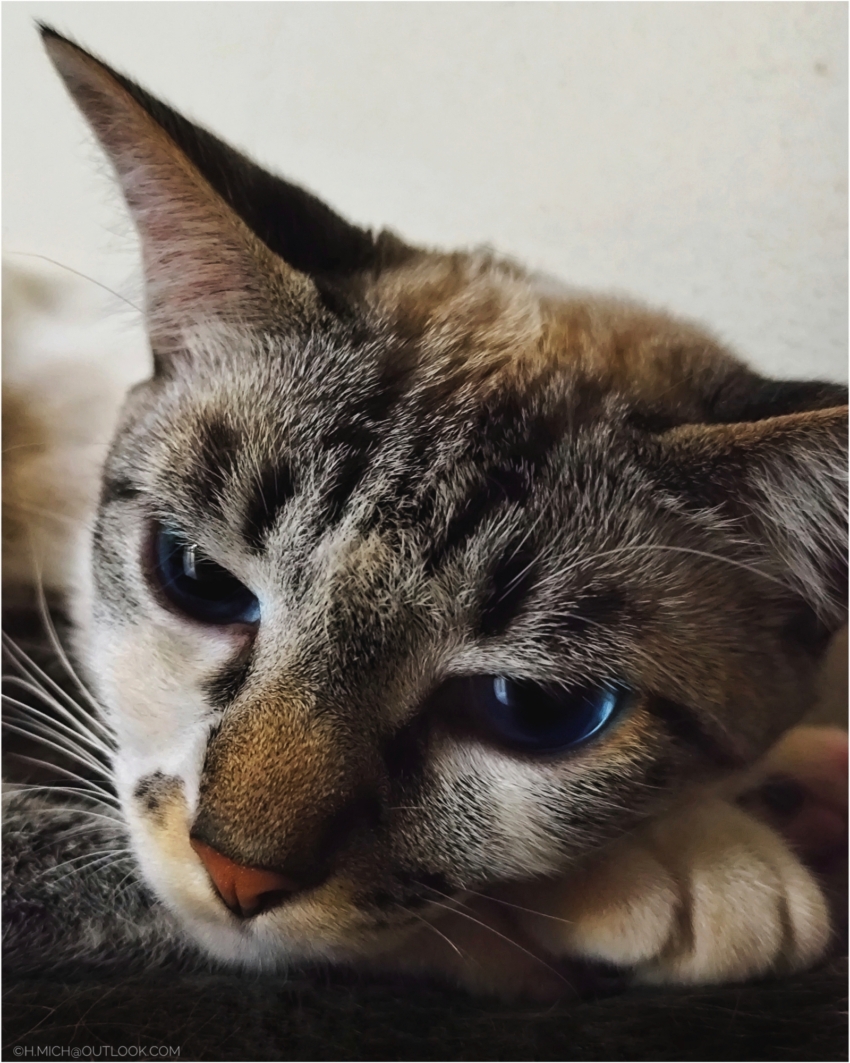 Studio-One.Art.br Repo Fotografia em Rio Preto SP/Brasil