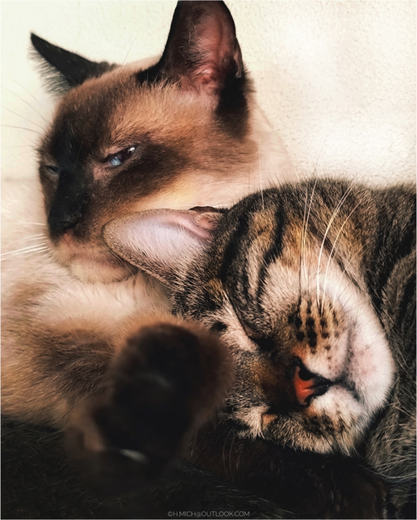 Studio-One.Art.br Repo Fotografia em Rio Preto SP/Brasil