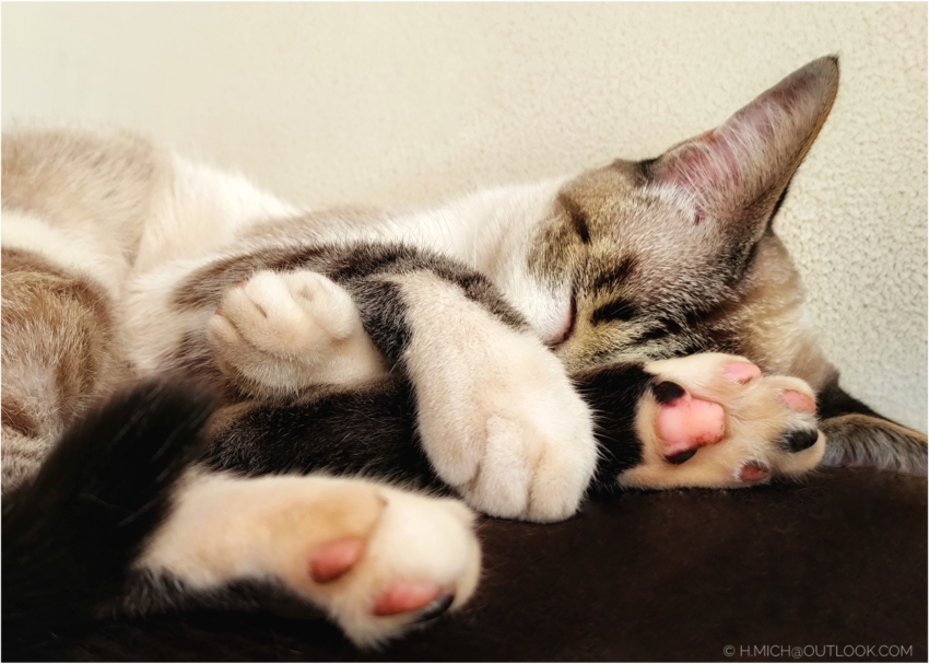 Studio-One.Art.br Repo Fotografia em Rio Preto SP/Brasil