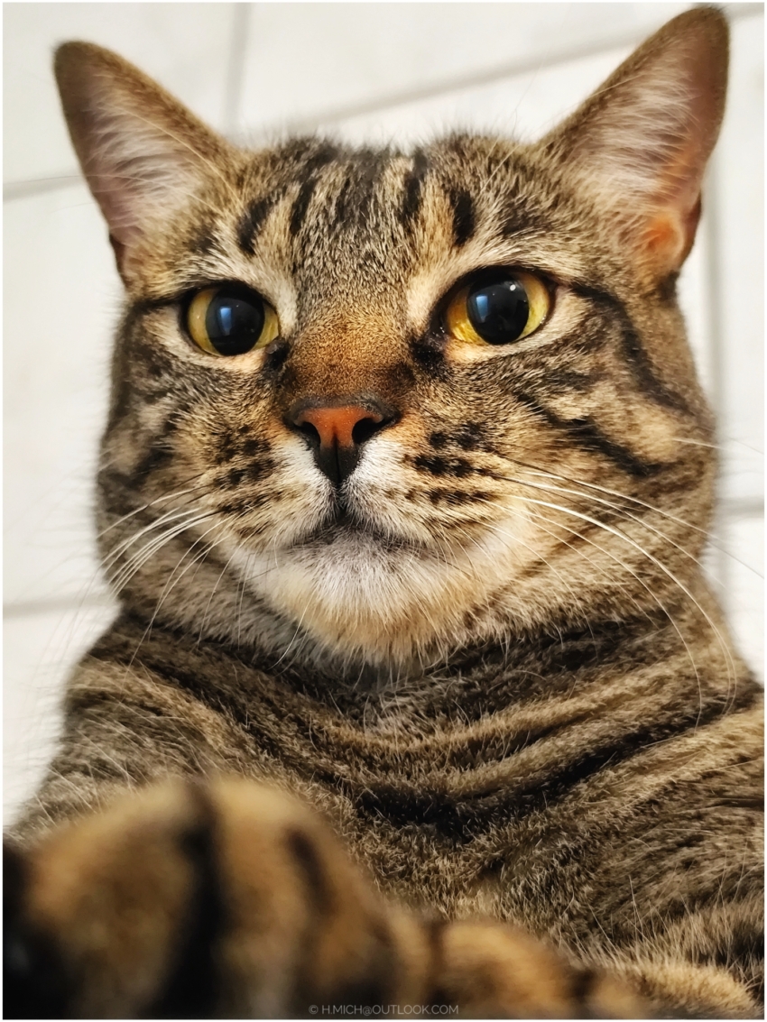 Studio-One.Art.br Repo Fotografia em Rio Preto SP/Brasil