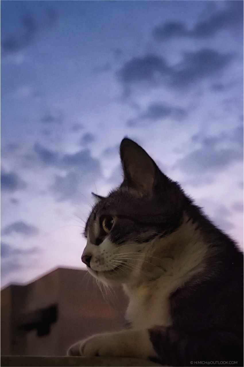 Studio-One.Art.br Repo Fotografia em Rio Preto SP/Brasil