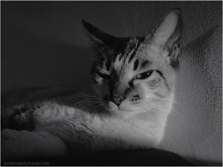 Studio-One.Art.br Repo Fotografia em Rio Preto SP/Brasil