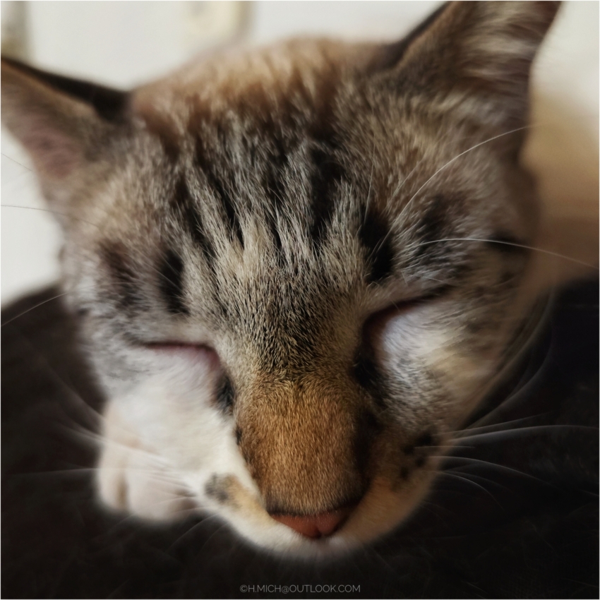 Studio-One.Art.br Repo Fotografia em Rio Preto SP/Brasil