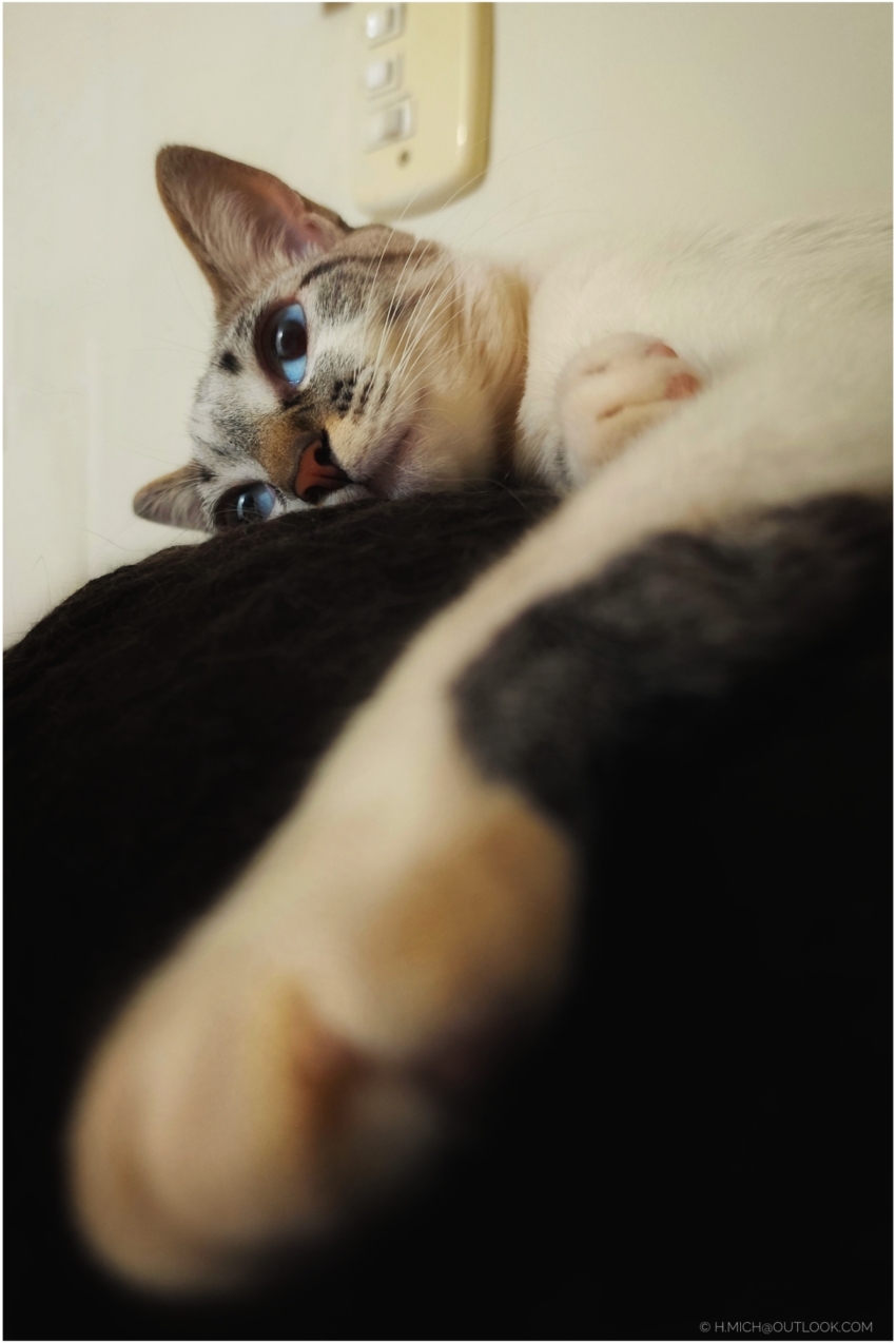 Studio-One.Art.br Repo Fotografia em Rio Preto SP/Brasil