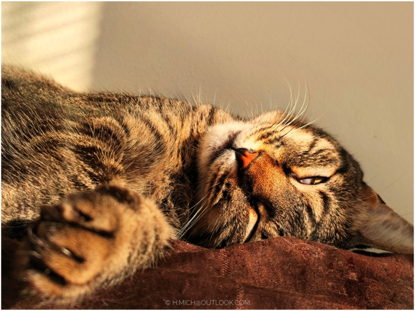 Studio-One.Art.br Repo Fotografia em Rio Preto SP/Brasil