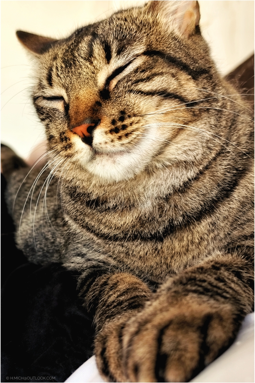 Studio-One.Art.br Repo Fotografia em Rio Preto SP/Brasil