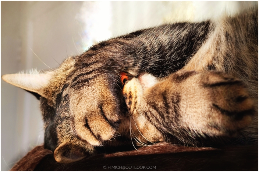 Studio-One.Art.br Repo Fotografia em Rio Preto SP/Brasil