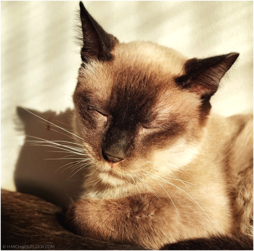 Studio-One.Art.br Repo Fotografia em Rio Preto SP/Brasil