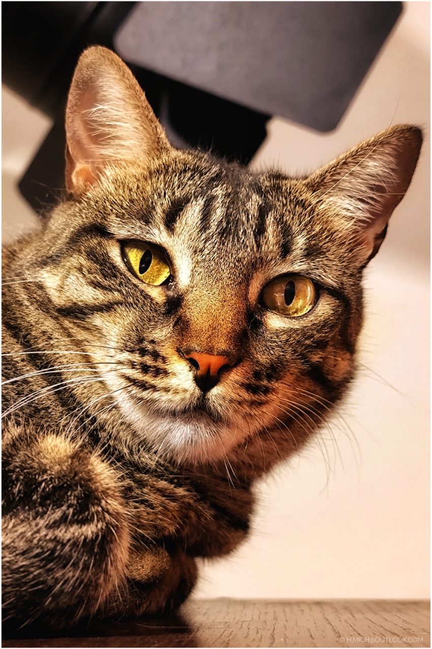 Studio-One.Art.br Repo Fotografia em Rio Preto SP/Brasil