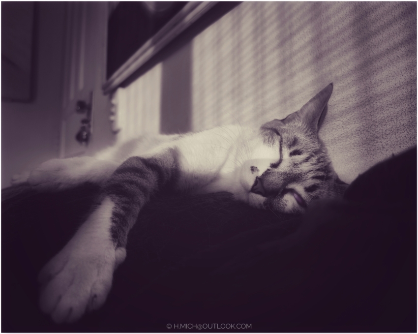 Studio-One.Art.br Repo Fotografia em Rio Preto SP/Brasil