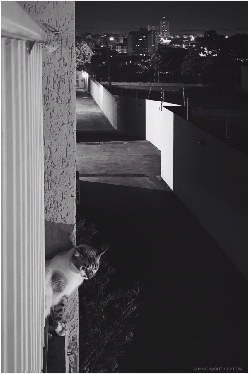 Studio-One.Art.br Repo Fotografia em Rio Preto SP/Brasil