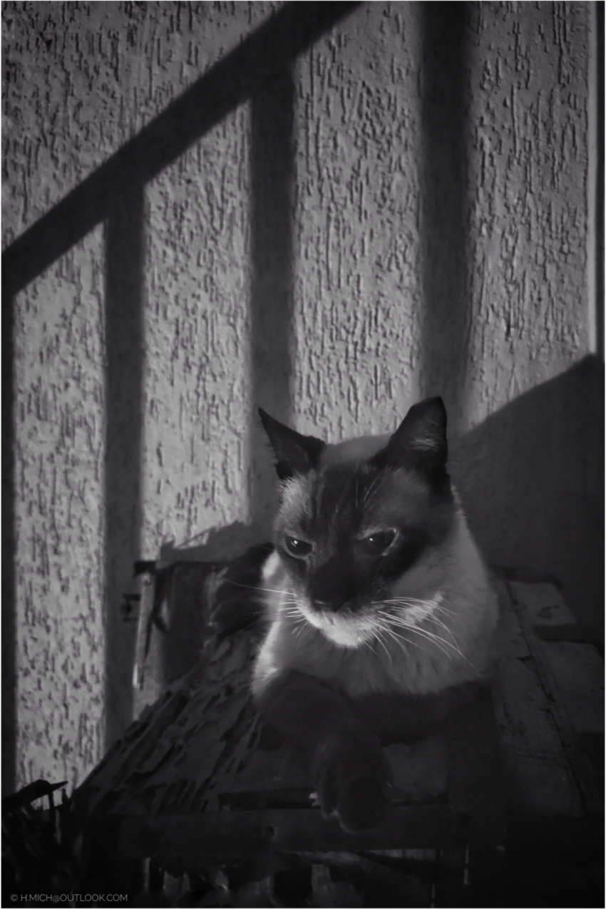 Studio-One.Art.br Repo Fotografia em Rio Preto SP/Brasil