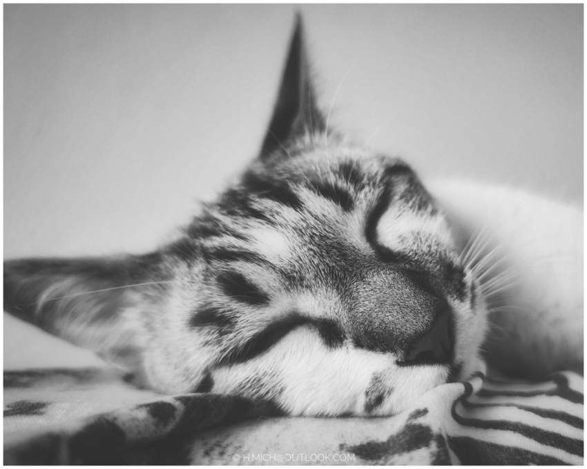 Studio-One.Art.br Repo Fotografia em Rio Preto SP/Brasil