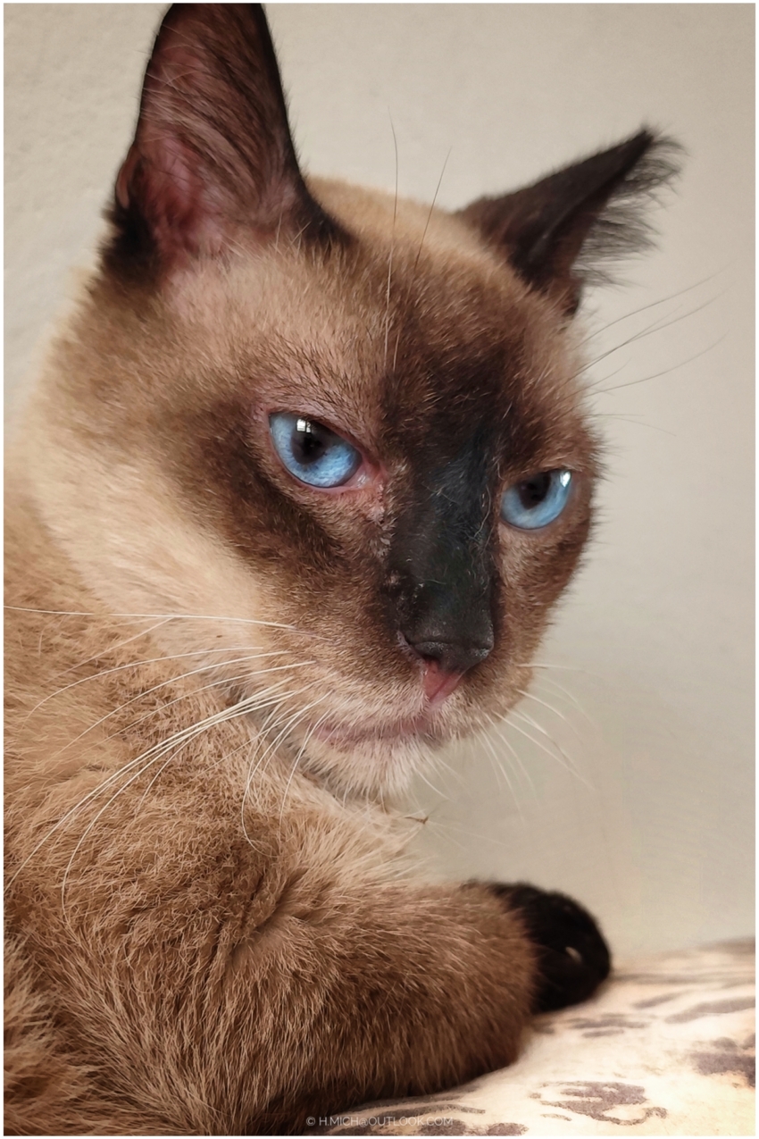 Studio-One.Art.br Repo Fotografia em Rio Preto SP/Brasil