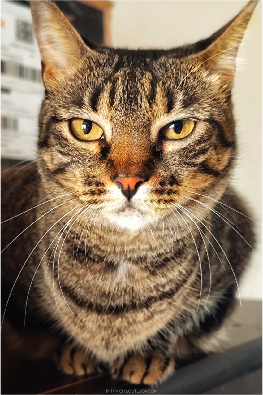 Studio-One.Art.br Repo Fotografia em Rio Preto SP/Brasil