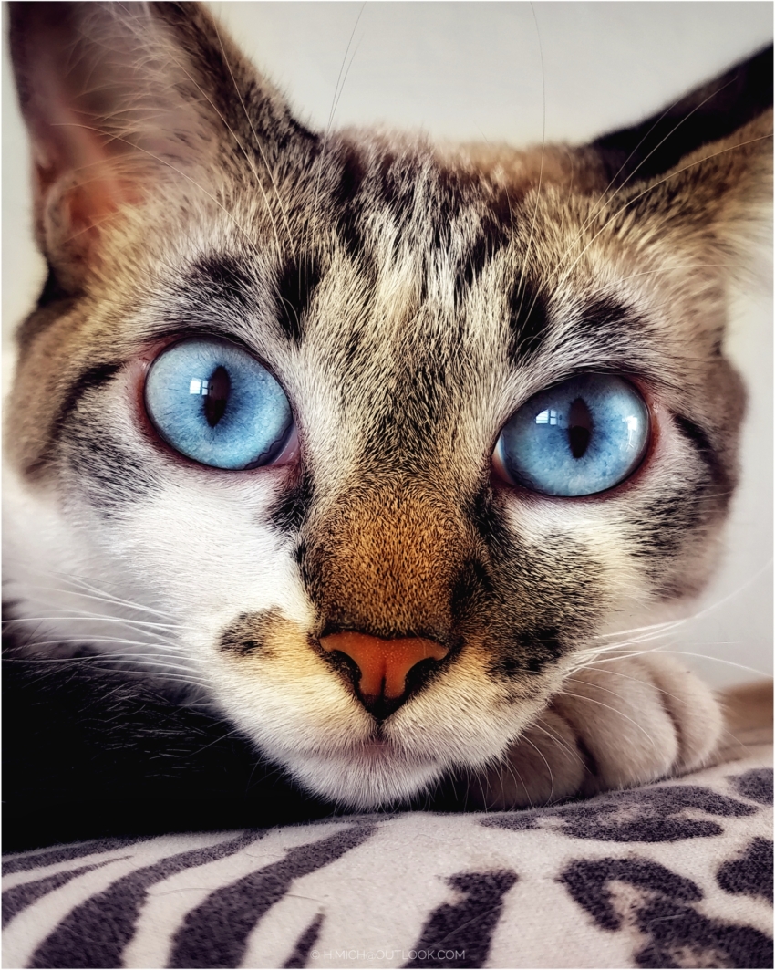 Studio-One.Art.br Repo Fotografia em Rio Preto SP/Brasil