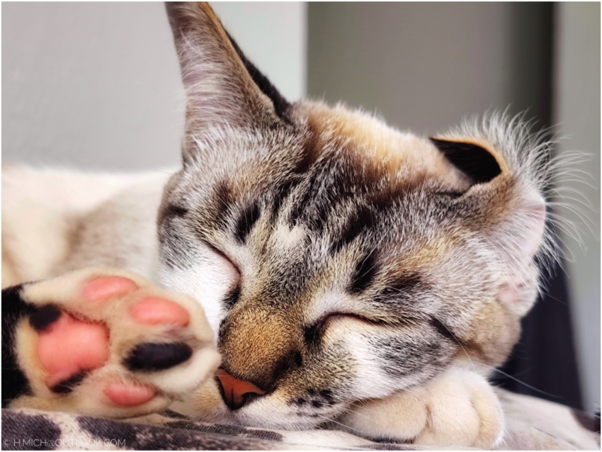 Studio-One.Art.br Repo Fotografia em Rio Preto SP/Brasil