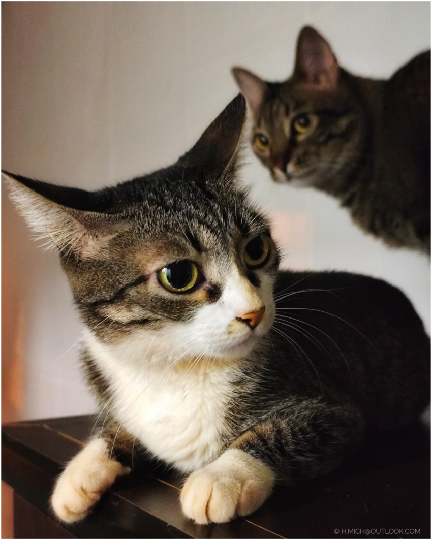 Studio-One.Art.br Repo Fotografia em Rio Preto SP/Brasil