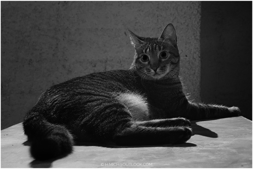 Studio-One.Art.br Repo Fotografia em Rio Preto SP/Brasil