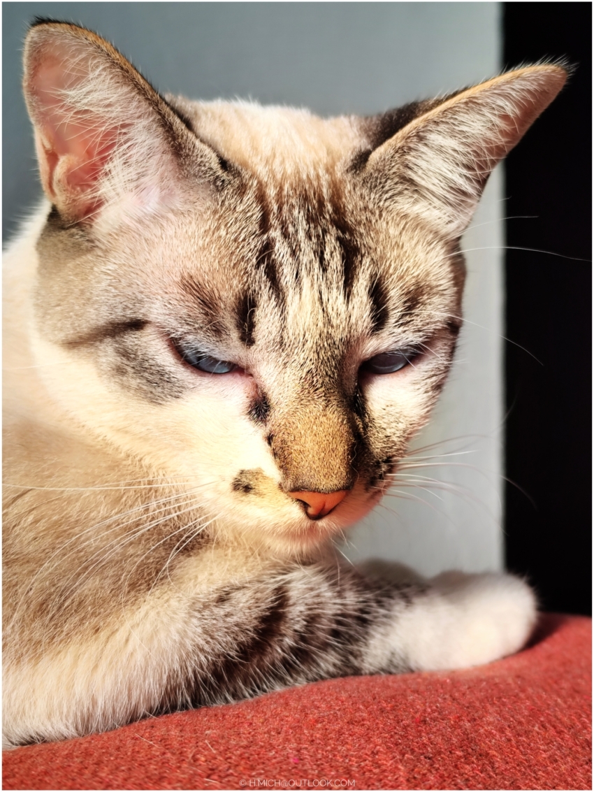 Studio-One.Art.br Repo Fotografia em Rio Preto SP/Brasil