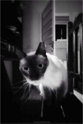 Img 20241016 043337