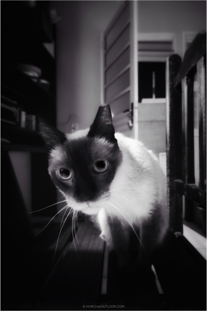 Studio-One.Art.br Repo Fotografia em Rio Preto SP/Brasil