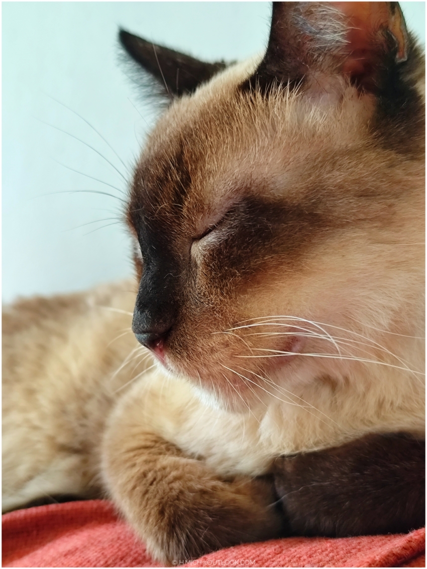 Studio-One.Art.br Repo Fotografia em Rio Preto SP/Brasil