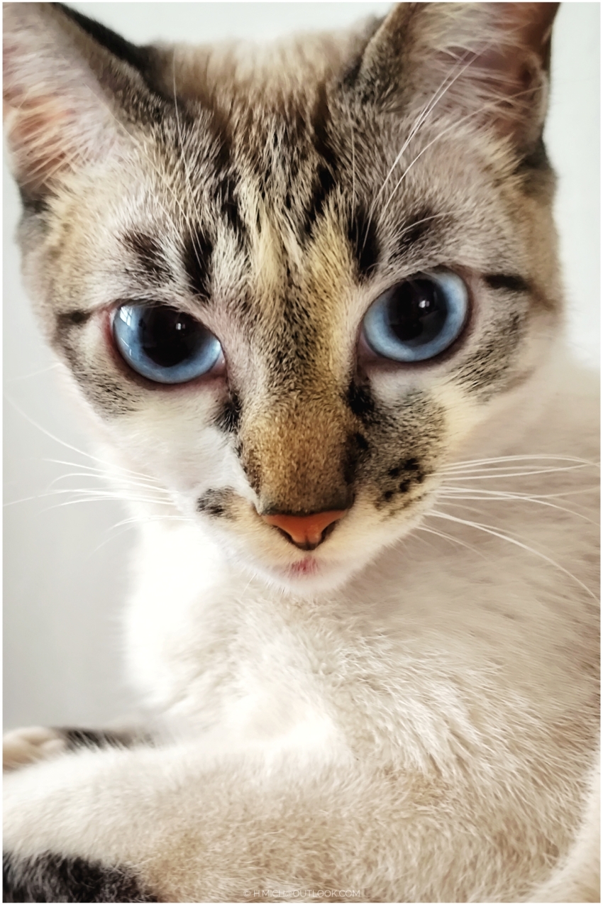 Studio-One.Art.br Repo Fotografia em Rio Preto SP/Brasil