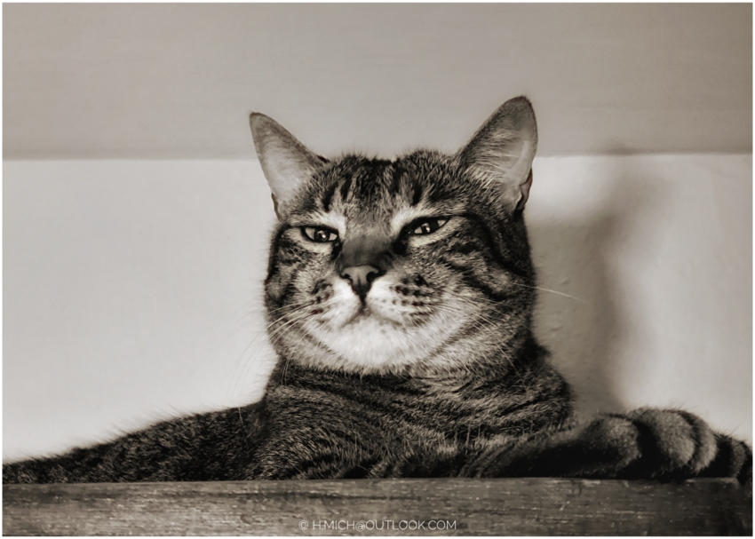 Studio-One.Art.br Repo Fotografia em Rio Preto SP/Brasil