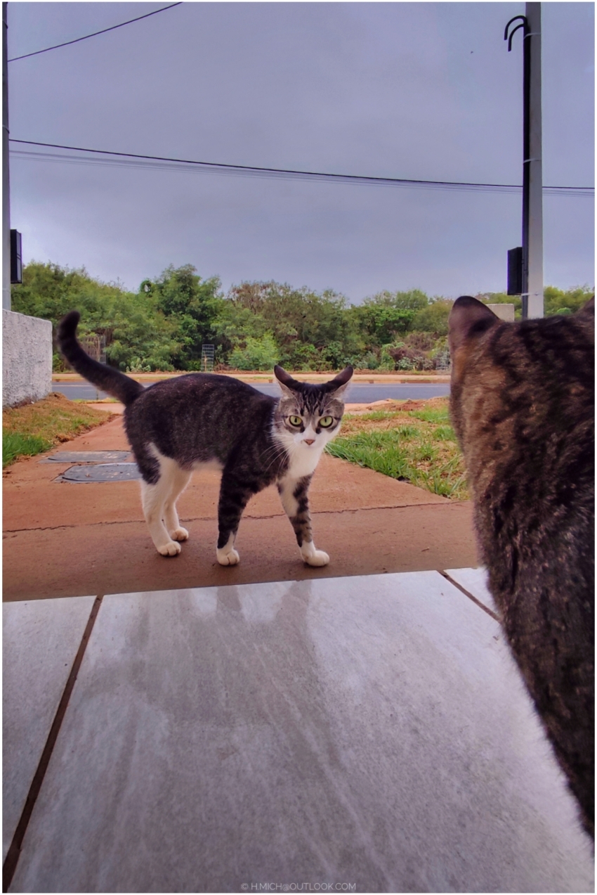 Studio-One.Art.br Repo Fotografia em Rio Preto SP/Brasil