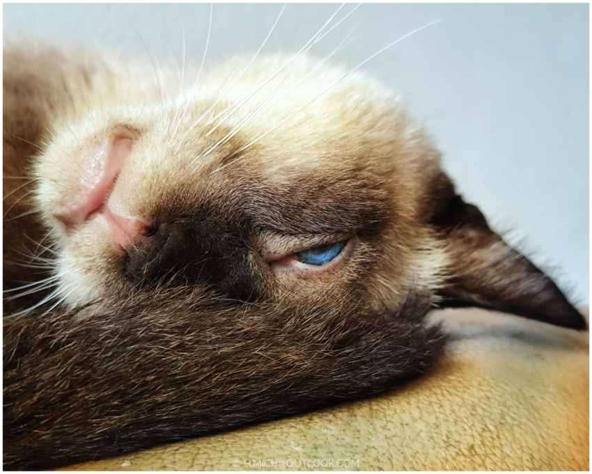 Studio-One.Art.br Repo Fotografia em Rio Preto SP/Brasil