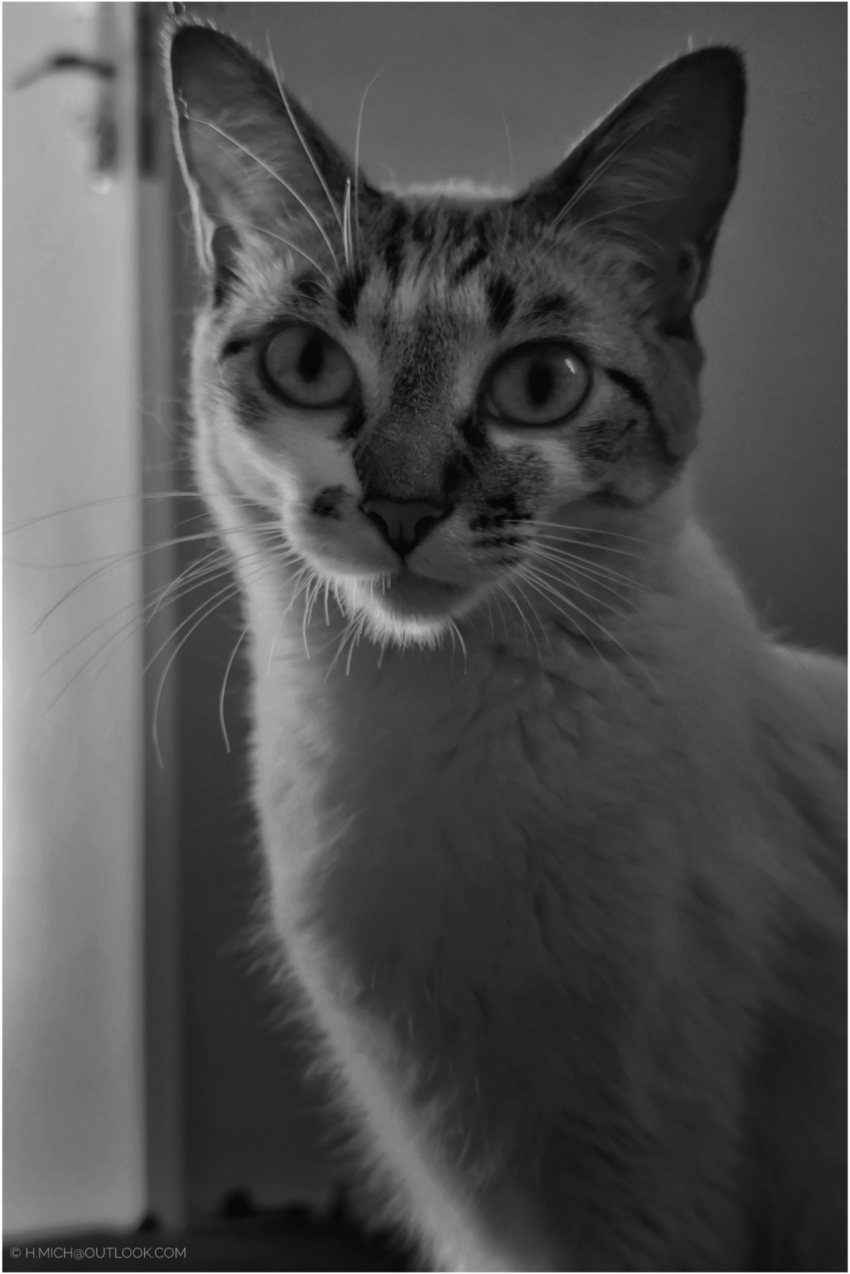 Studio-One.Art.br Repo Fotografia em Rio Preto SP/Brasil