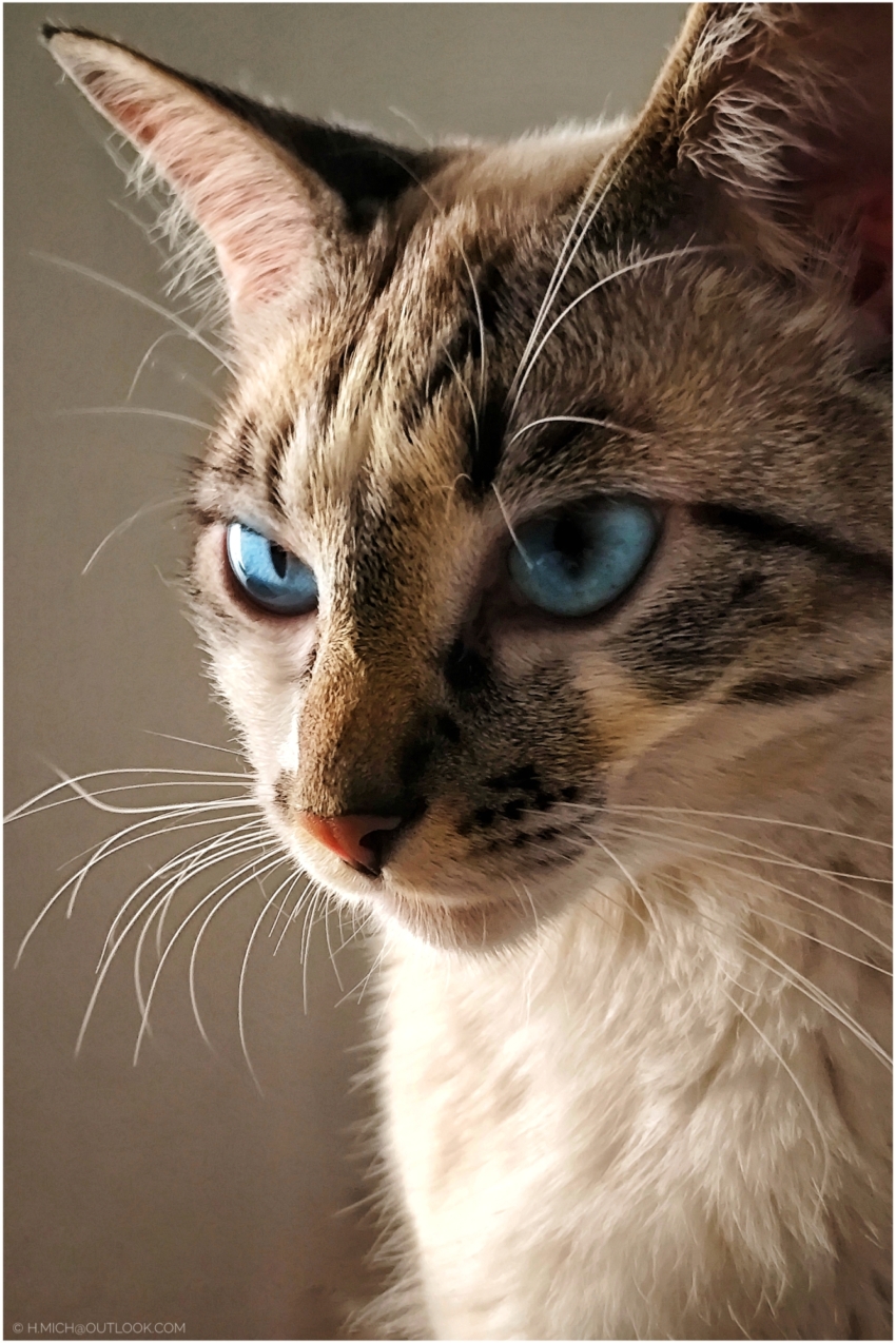 Studio-One.Art.br Repo Fotografia em Rio Preto SP/Brasil