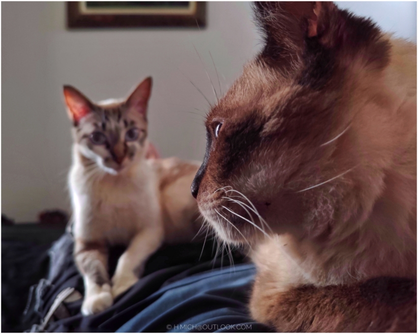 Studio-One.Art.br Repo Fotografia em Rio Preto SP/Brasil