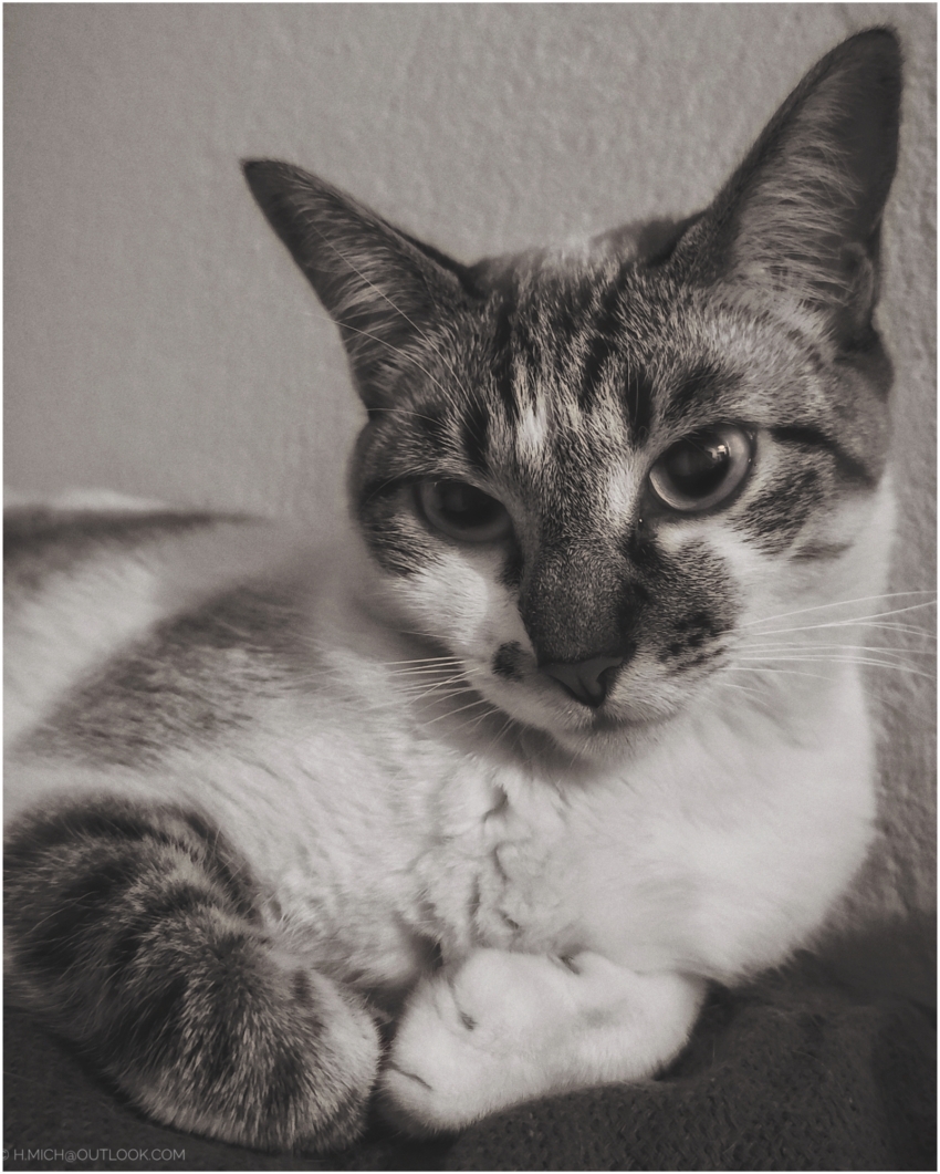 Studio-One.Art.br Repo Fotografia em Rio Preto SP/Brasil