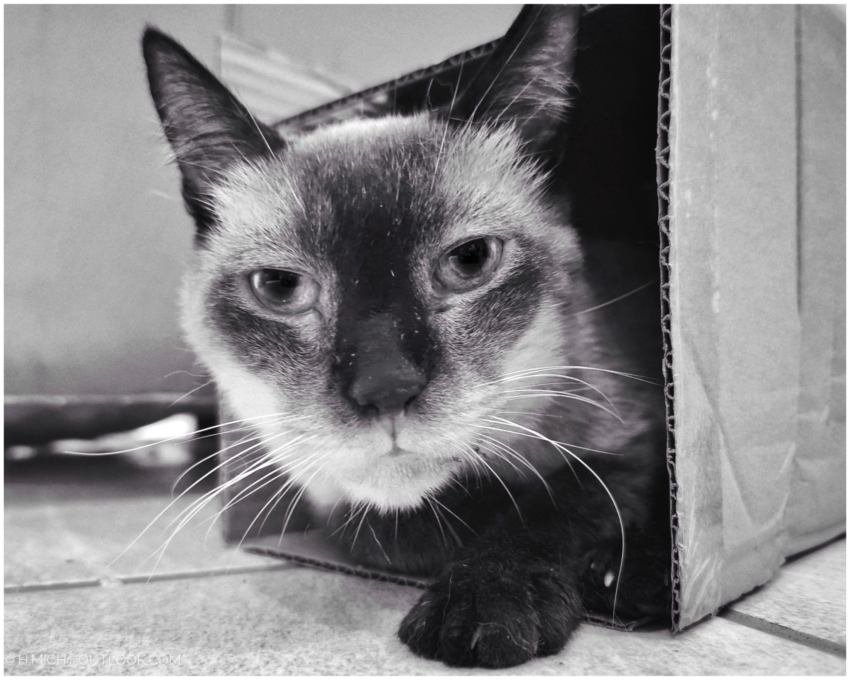 Studio-One.Art.br Repo Fotografia em Rio Preto SP/Brasil