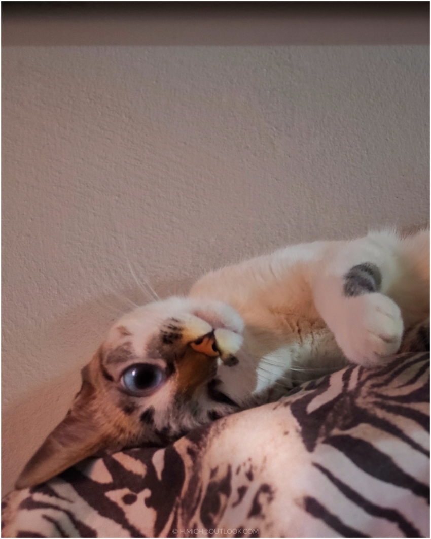 Studio-One.Art.br Repo Fotografia em Rio Preto SP/Brasil