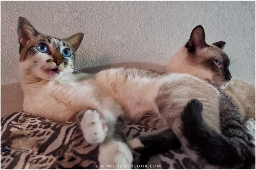 Studio-One.Art.br Repo Fotografia em Rio Preto SP/Brasil