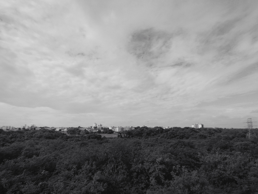 Studio-One.Art.br Repo Fotografia em Rio Preto SP/Brasil