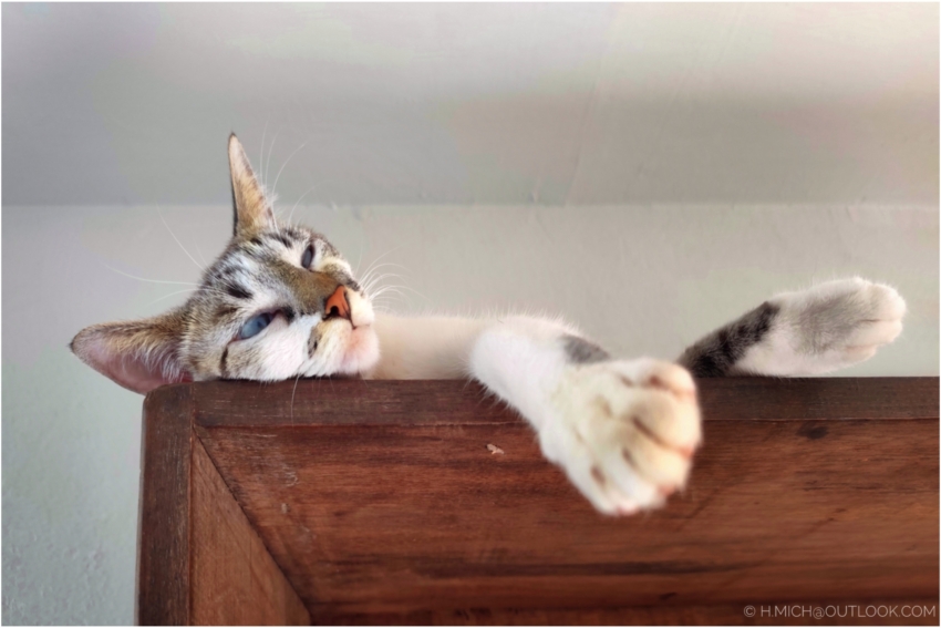 Studio-One.Art.br Repo Fotografia em Rio Preto SP/Brasil