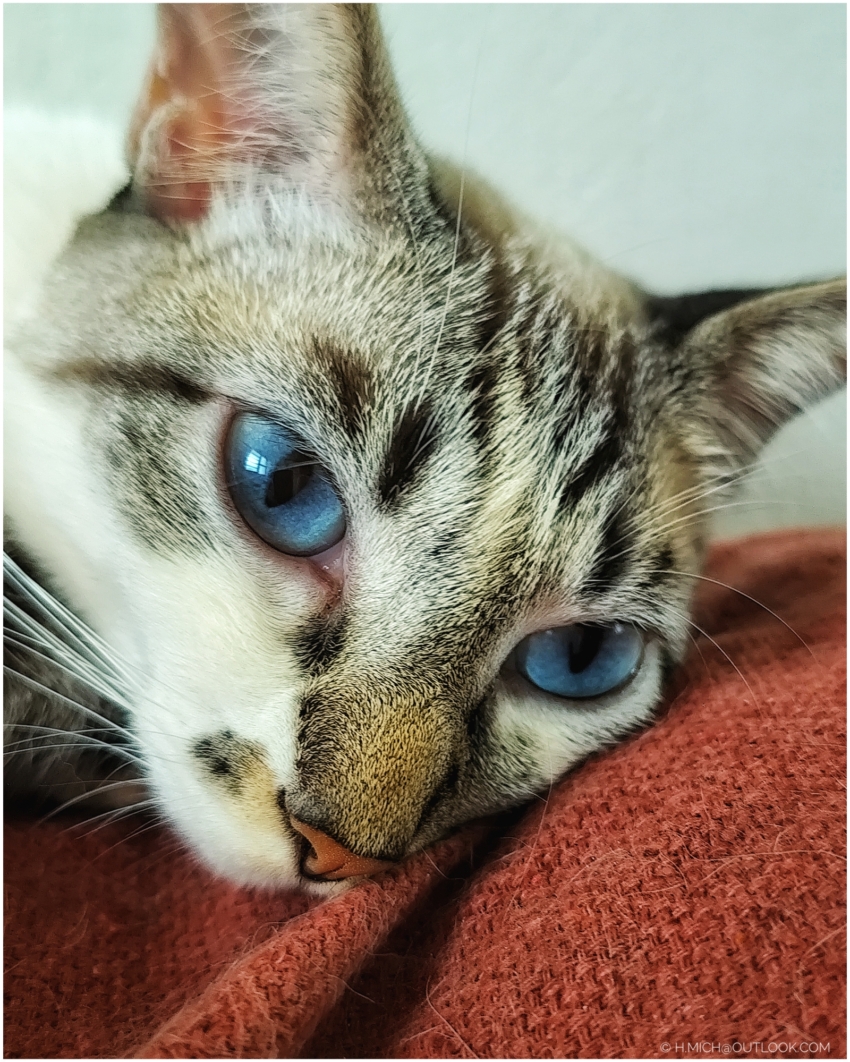 Studio-One.Art.br Repo Fotografia em Rio Preto SP/Brasil