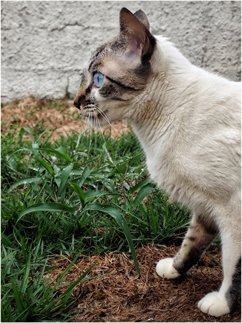 Studio-One.Art.br Repo Fotografia em Rio Preto SP/Brasil