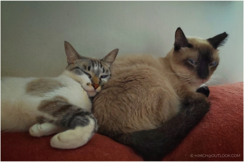 Studio-One.Art.br Repo Fotografia em Rio Preto SP/Brasil