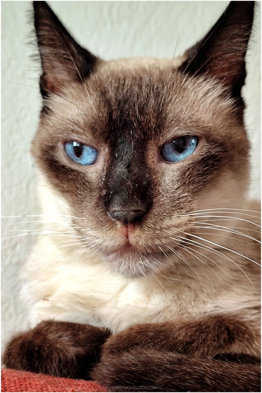 Studio-One.Art.br Repo Fotografia em Rio Preto SP/Brasil