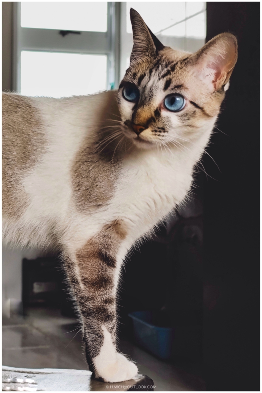 Studio-One.Art.br Repo Fotografia em Rio Preto SP/Brasil