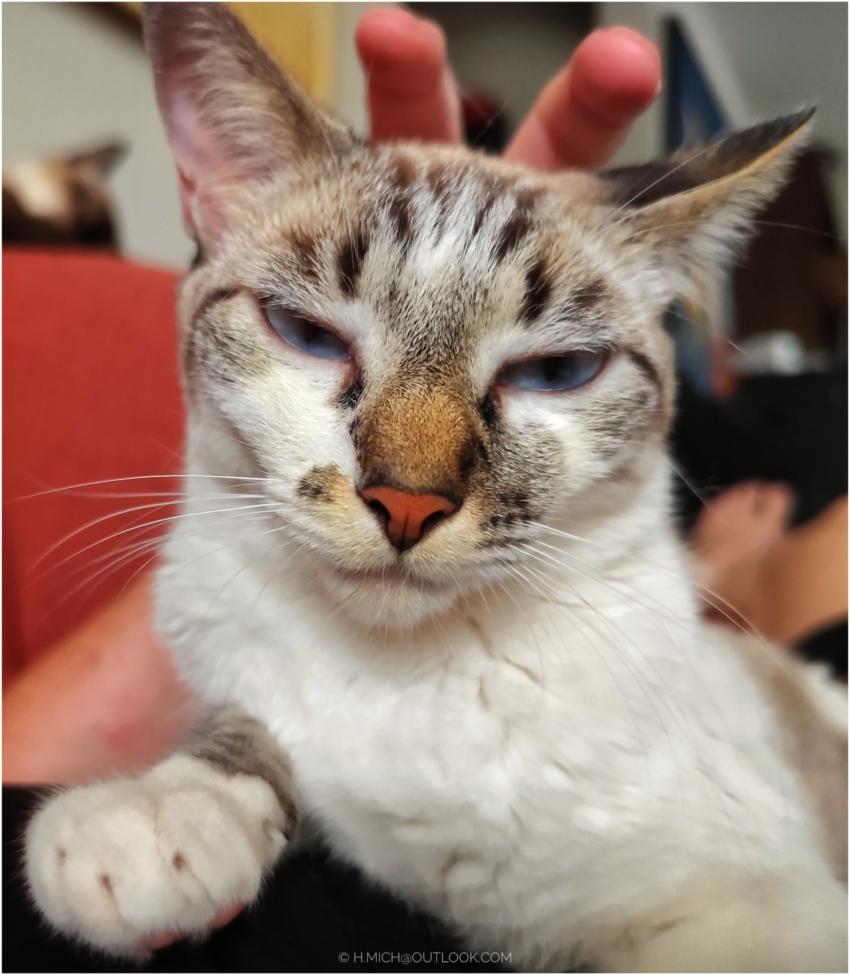 Studio-One.Art.br Repo Fotografia em Rio Preto SP/Brasil