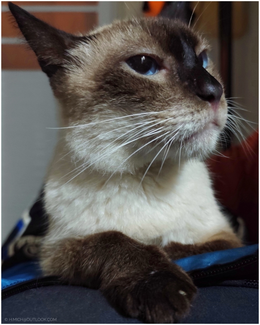 Studio-One.Art.br Repo Fotografia em Rio Preto SP/Brasil